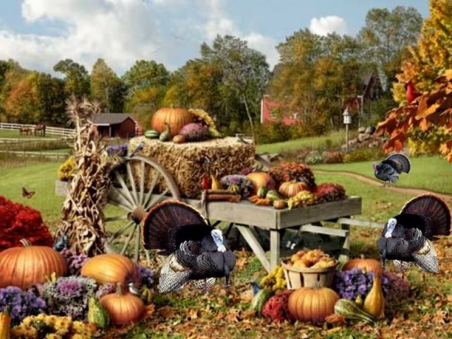 Fall Harvest Festival Scene - Pumpkins, Turkeys & Rustic Farm Decor