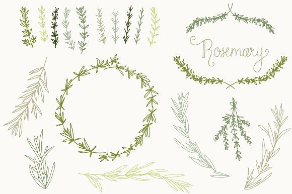Hand-drawn rosemary sprigs, wreaths, and decorative botanical illustrations in green and olive tones.