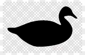 Black silhouette of a duck in profile, facing right, on transparent background.