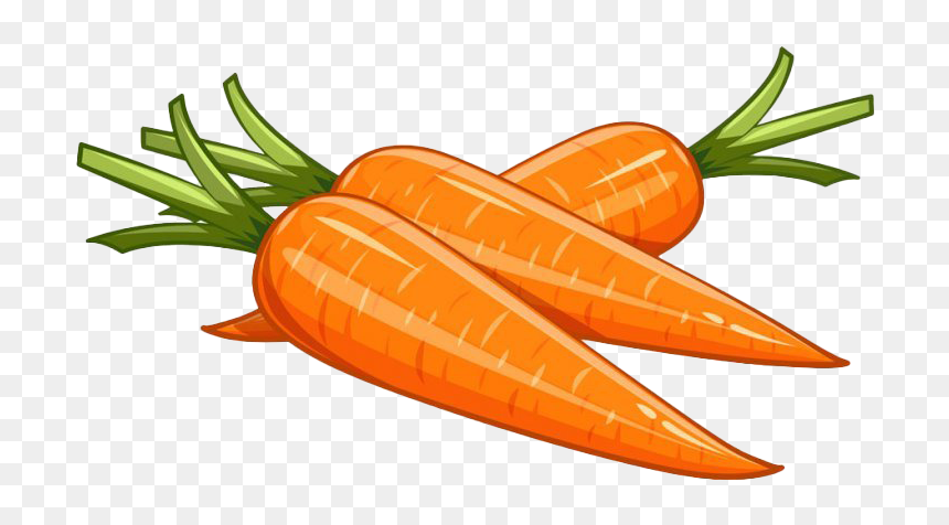 Three fresh orange carrots with green leafy tops, illustrated in vibrant cartoon style on transparent background.