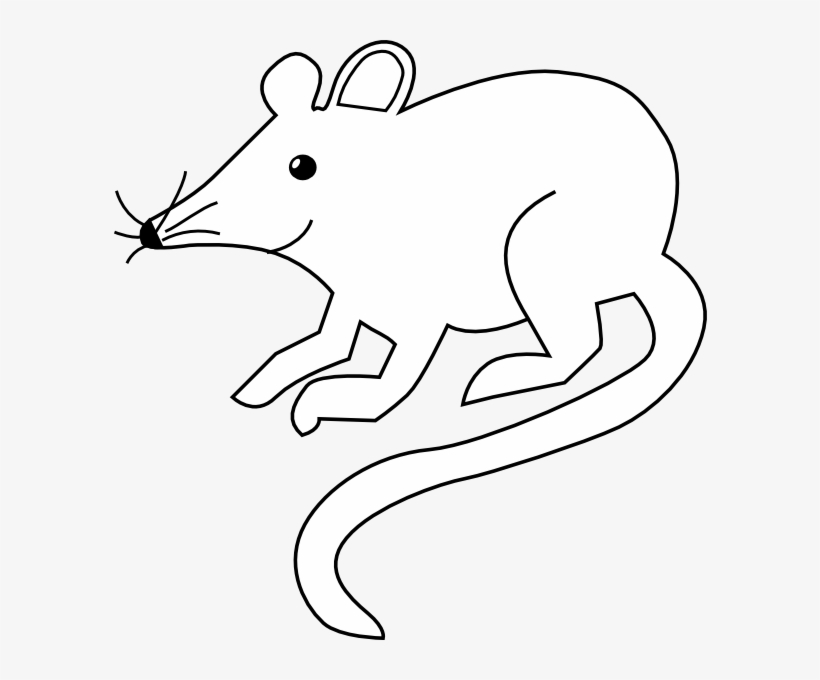 Black Rats Clip Art Library