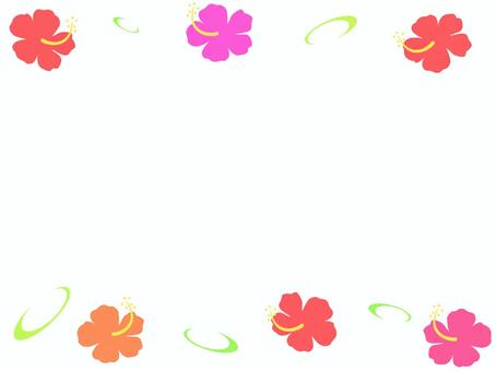 Colorful hibiscus flowers in red, pink, and orange with green swirl accents on a white background, arranged as a decorative border.