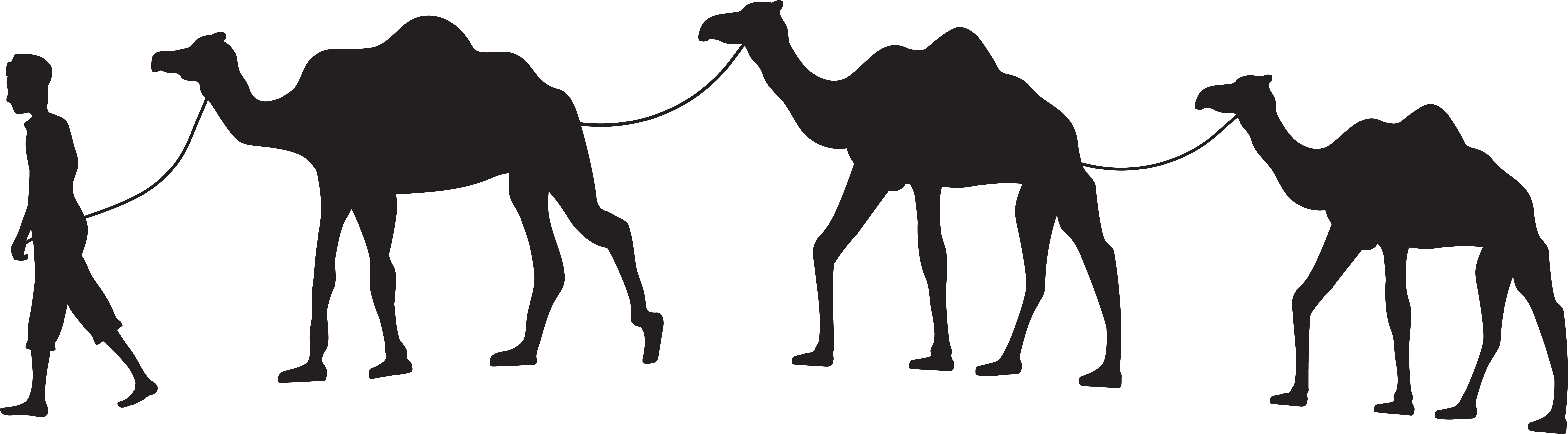 Silhouette of a person leading three camels in a caravan across a desert landscape.