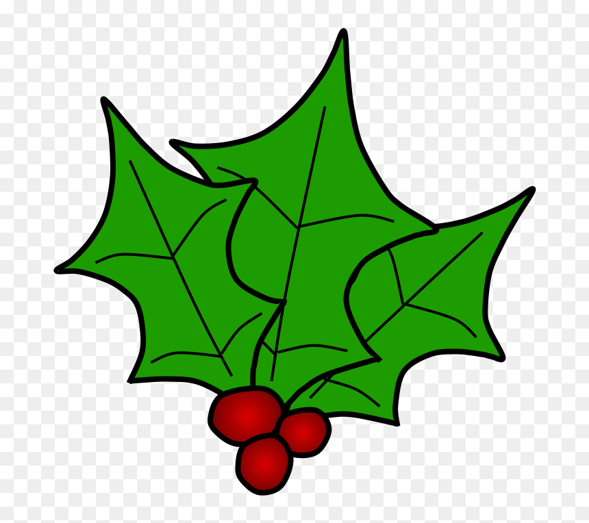 Green holly leaves with three red berries on transparent background, classic Christmas symbol.