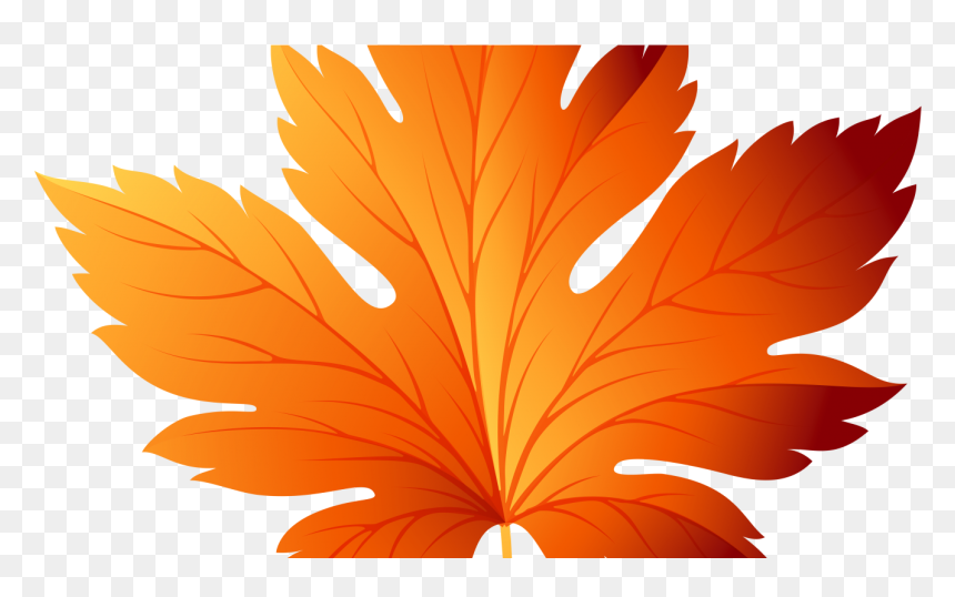 Autumn Maple Leaf PNG - Free Download for Seasonal Designs