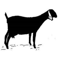 Black silhouette of a standing goat in profile, facing right, with distinct horns and tail.