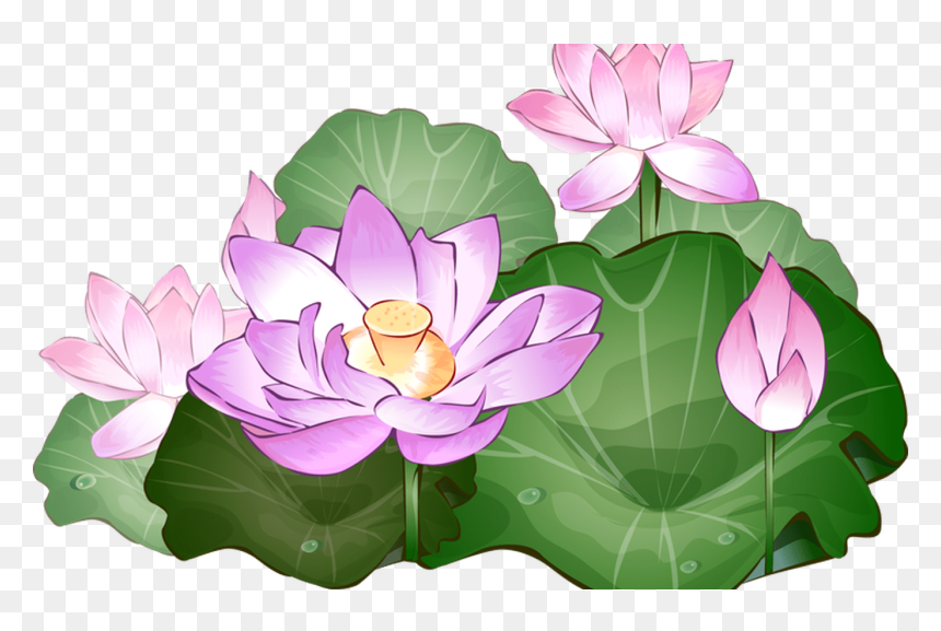 Pink lotus flowers blooming among large green lily pads with dewdrops, illustrated in soft watercolor style.