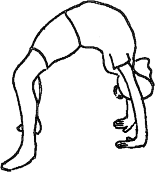 Line drawing of a person performing a yoga wheel pose (Urdhva Dhanurasana), hands and feet on ground, arching back upward.