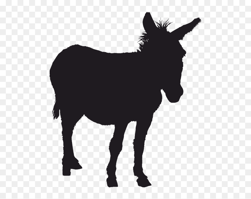 Black silhouette of a standing donkey with upright ears and tufted mane on transparent background.
