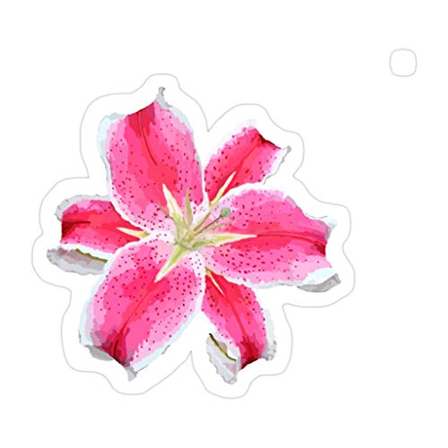 Vibrant pink lily with speckled petals and white edges, illustrated in watercolor style on white background.