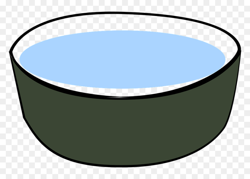 Dark green ceramic bowl filled with clear blue water, illustrated in simple cartoon style on transparent background.