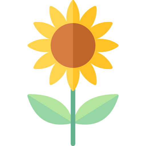 A stylized sunflower with yellow petals, brown center, green stem, and two leaves on a transparent background.