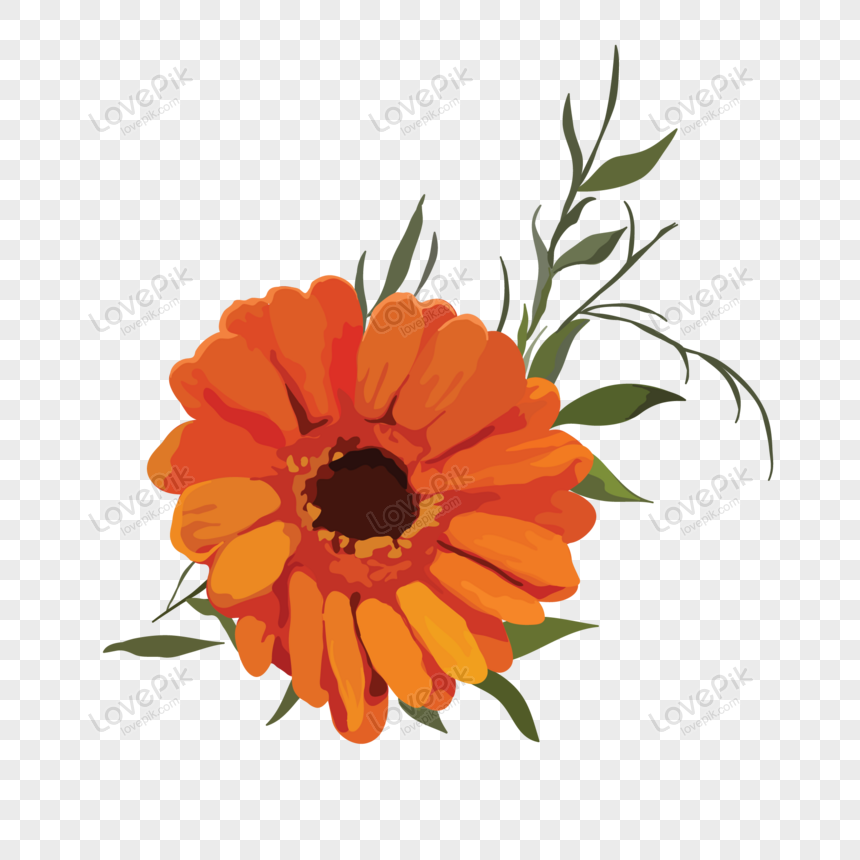 Vibrant orange marigold flower with green leaves and stems on transparent background.