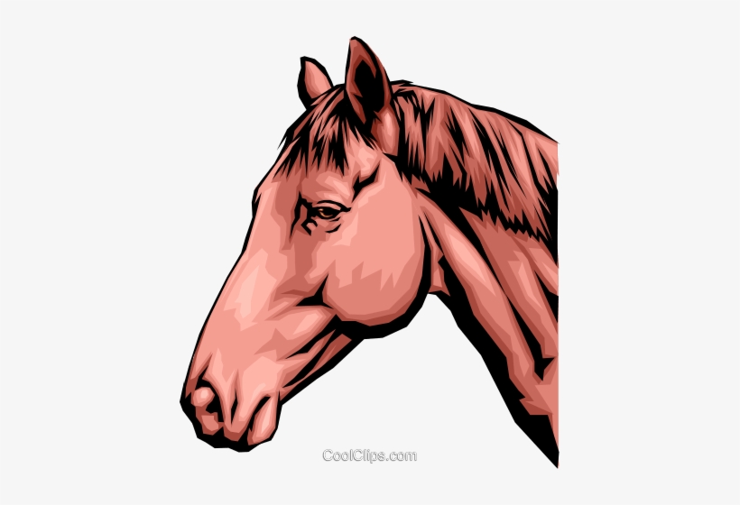 12,100+ Horse Head Illustrations, Royalty-Free Vector Graphics