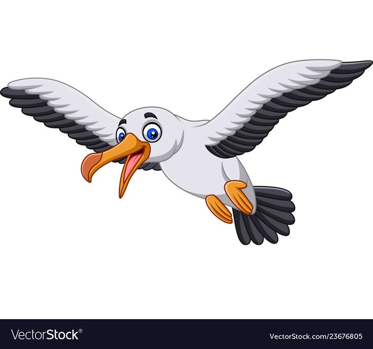 Cartoon seagull flying with open beak, white body, gray-black wings, and orange feet.