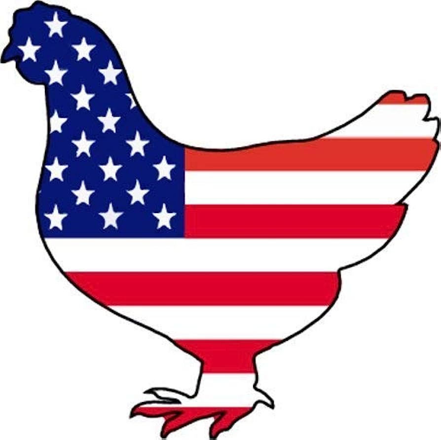 Patriotic Chicken Illustration - USA Flag Design