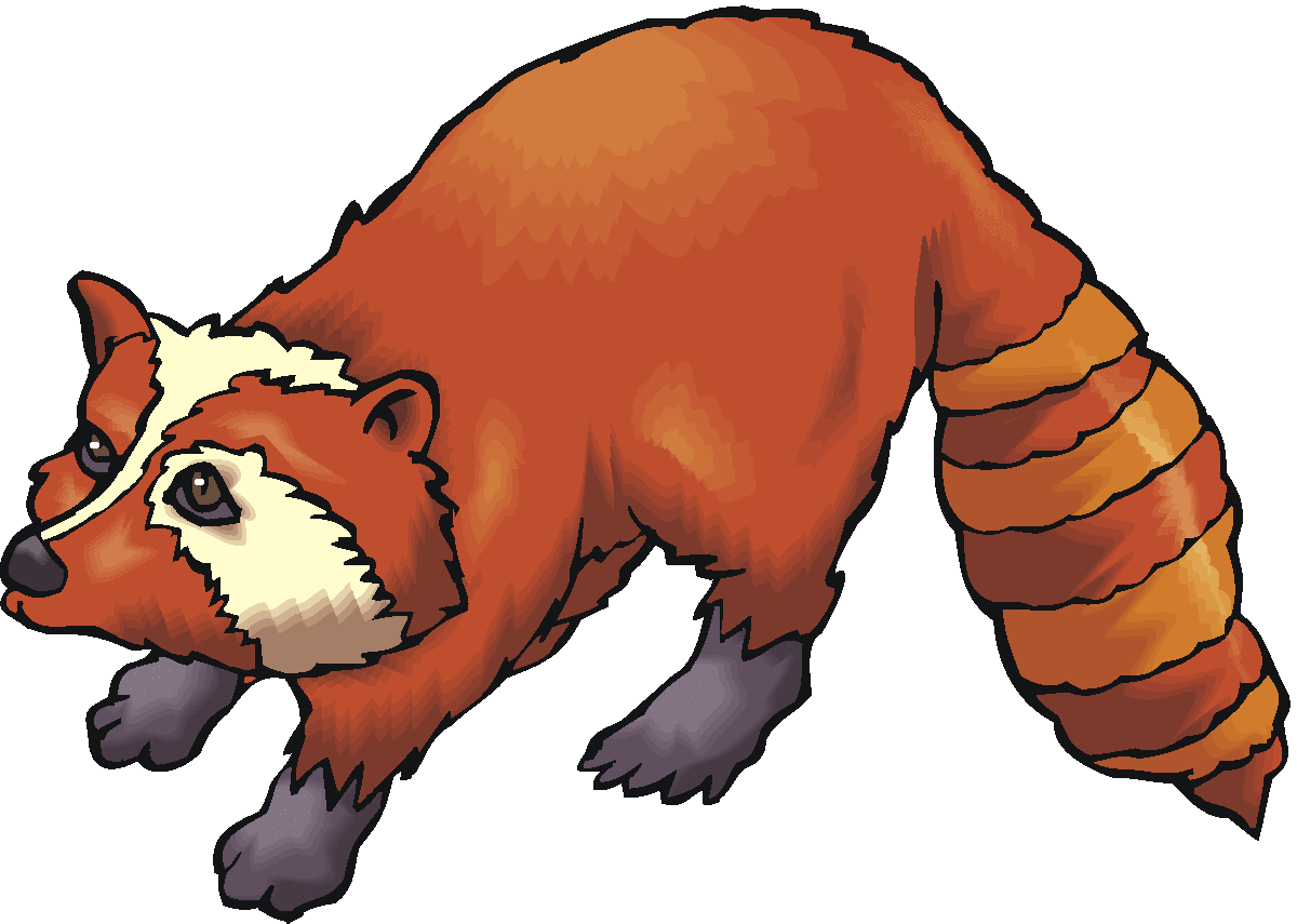 Illustration of a red panda in a crouching pose, with reddish-brown fur, white facial markings, and a striped tail.