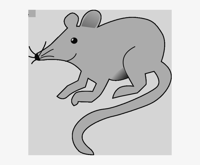 Black Rats Clip Art Library