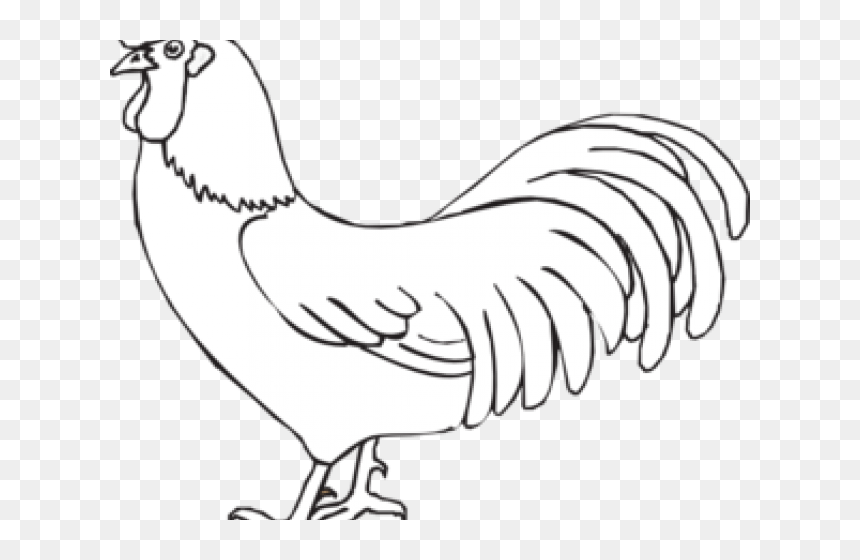 Line drawing of a rooster standing in profile with detailed feathers and comb.
