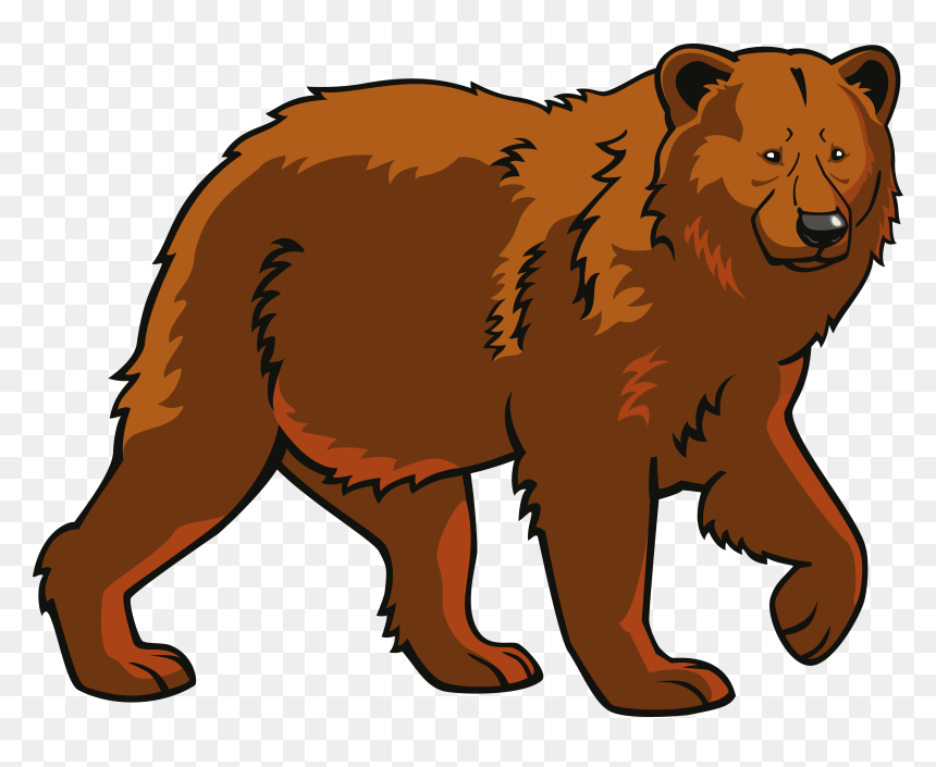 Brown Bear Illustration - Free PNG Clipart for Wildlife Projects