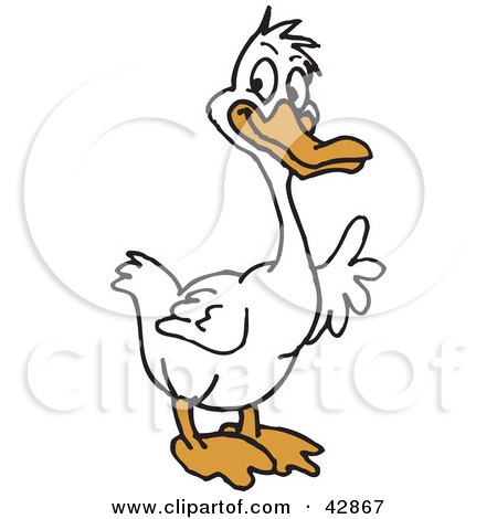 Cartoon white duck with orange beak and feet, standing upright and gesturing with wings.