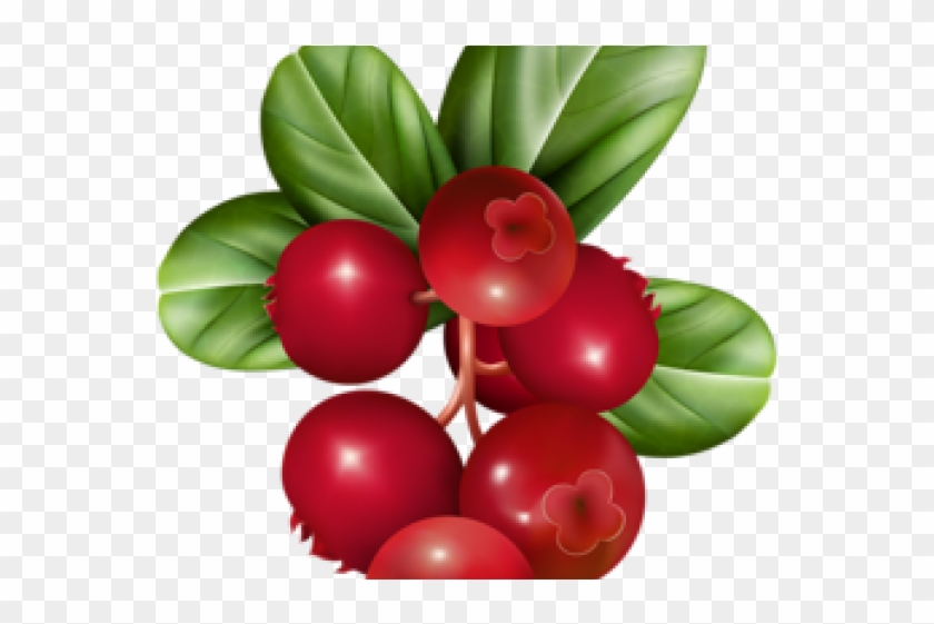 Vibrant red cranberries with glossy texture and green leaves on a transparent background.
