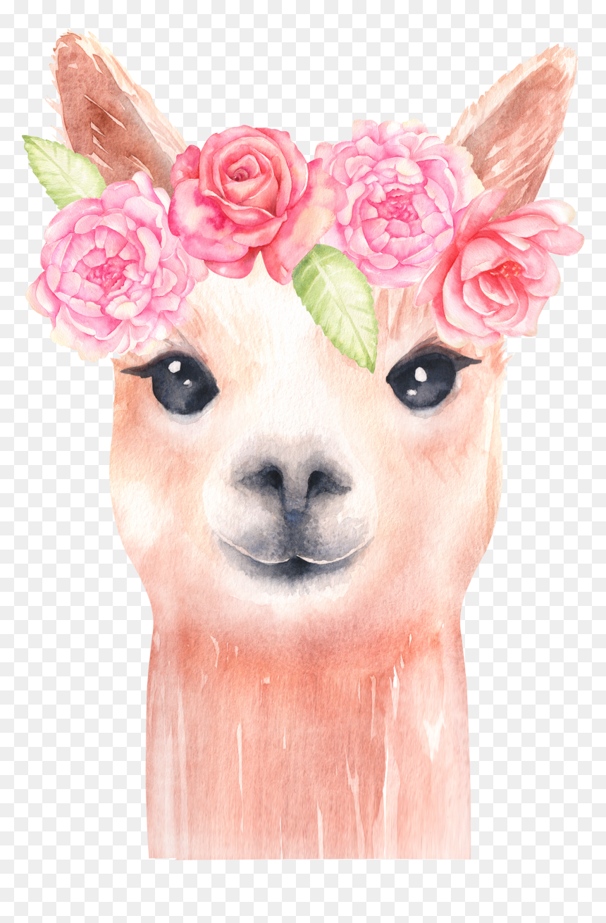 Watercolor alpaca wearing a pink rose floral crown with green leaves, soft expression on transparent background.