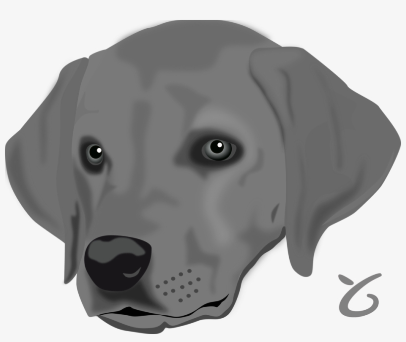 Gray Labrador Retriever dog head illustration with expressive eyes and floppy ears, monochrome style.