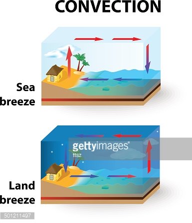 sea breeze clipart - Clip Art Library - Clip Art Library