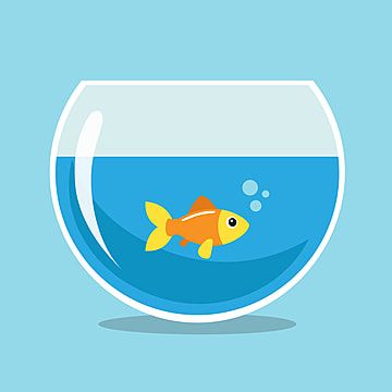 A bright orange goldfish swimming in a clear round fishbowl with blue water and bubbles.