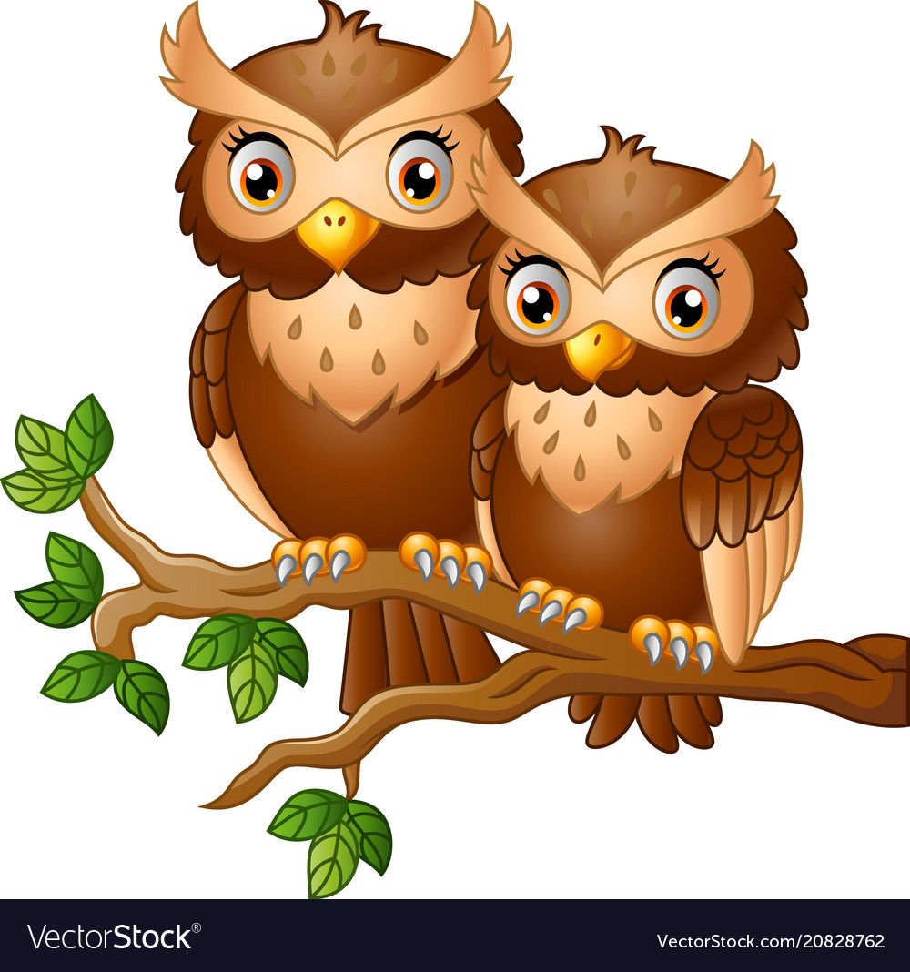 Two cartoon owls with large eyes perched together on a leafy branch.