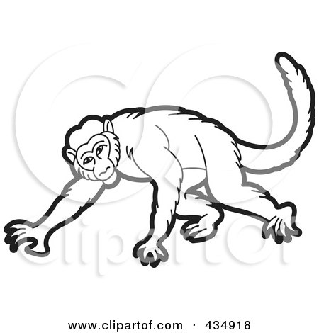 Black-and-white line drawing of a monkey in a quadrupedal crawling pose, with expressive face and long tail.