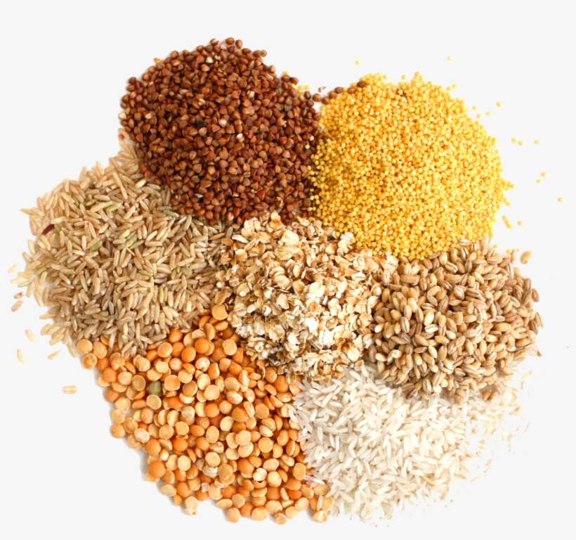 A colorful assortment of whole grains and legumes including quinoa, millet, oats, rice, lentils, barley, and buckwheat.