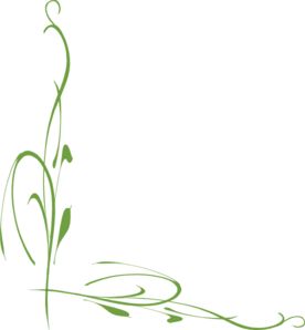 Elegant green vine flourish corner decoration on white background