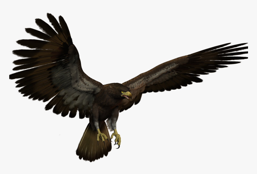 A majestic dark brown eagle in mid-flight with wings fully spread and talons extended, against a transparent background.