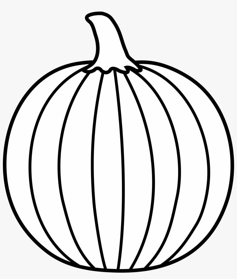 Simple black-and-white line drawing of a round onion with vertical ridges and stem.