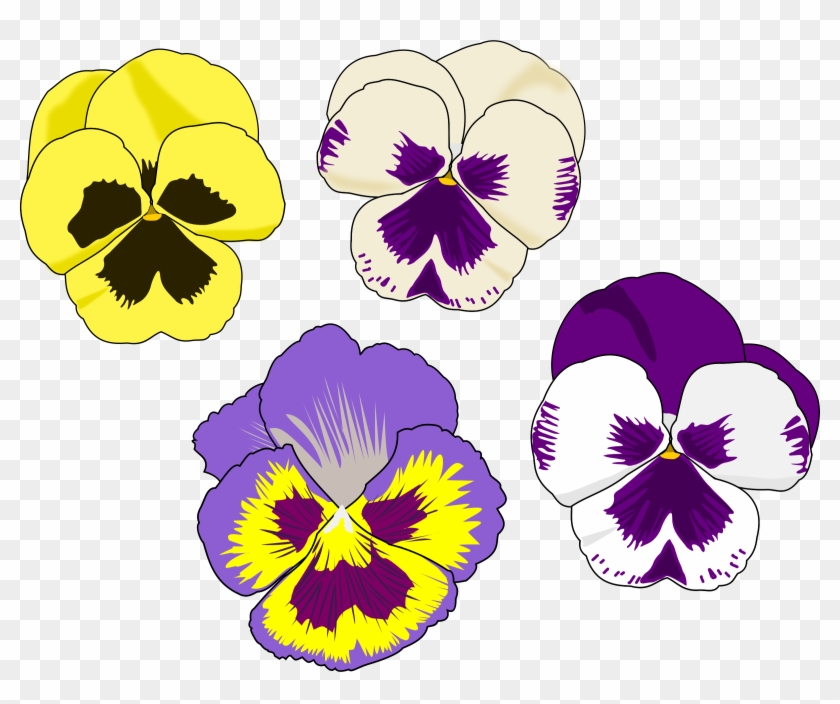 Pansy flowers growing watercolor illustration violet botanical - Clip ...
