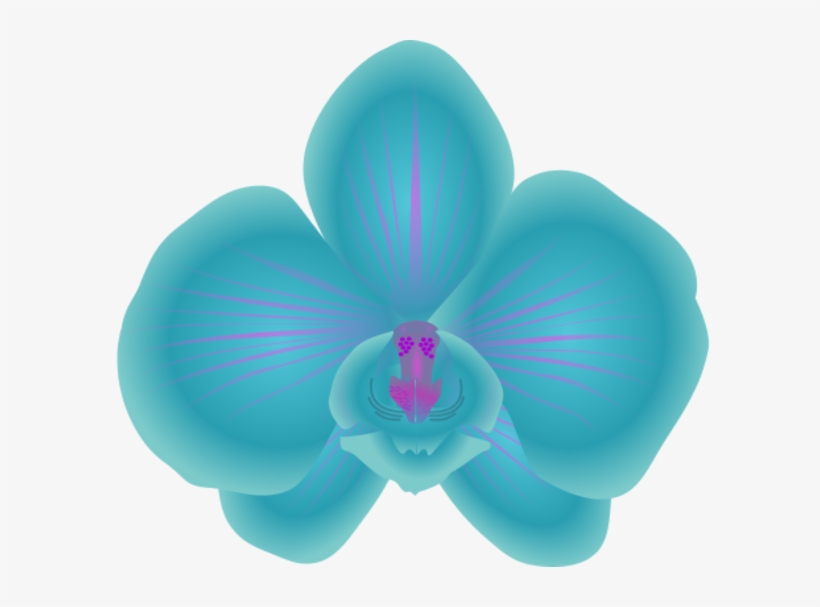 Vibrant turquoise orchid with purple veining and magenta center, stylized digital illustration on white background.