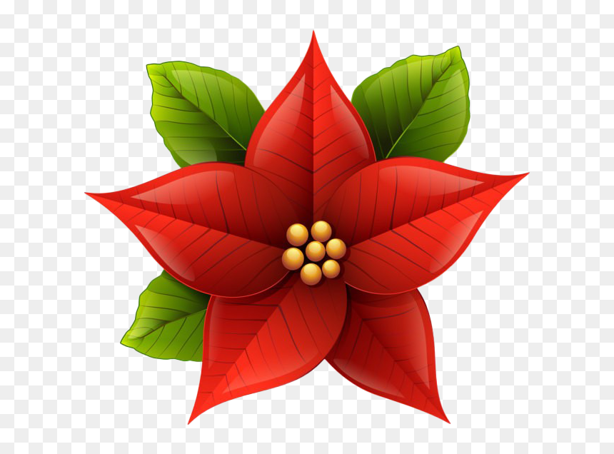 Poinsettia Flower PNG - High-Quality Holiday Floral Image