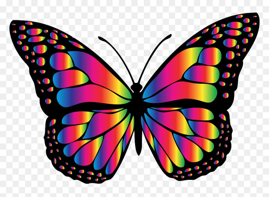 rainbow butterfly - Clip Art Library - Clip Art Library