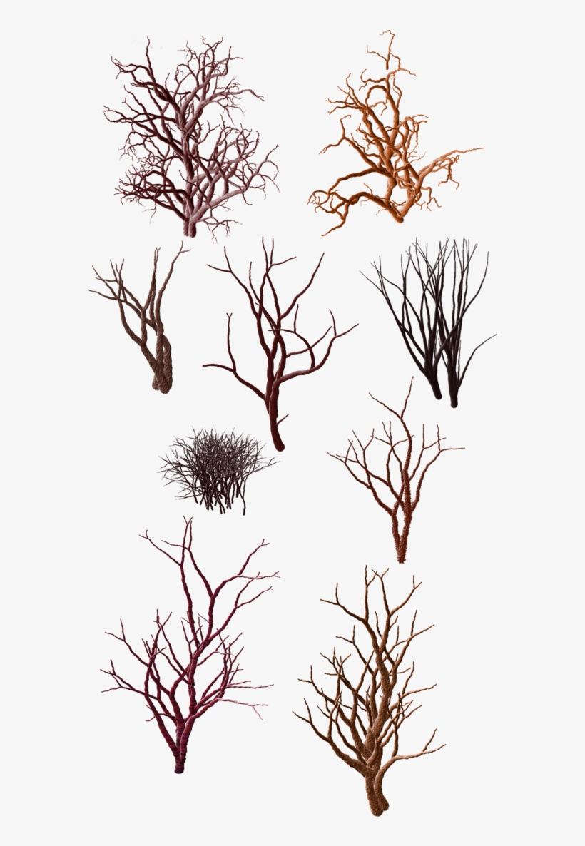 Collection of nine stylized bare tree silhouettes in varying earthy tones and forms, isolated on white background.
