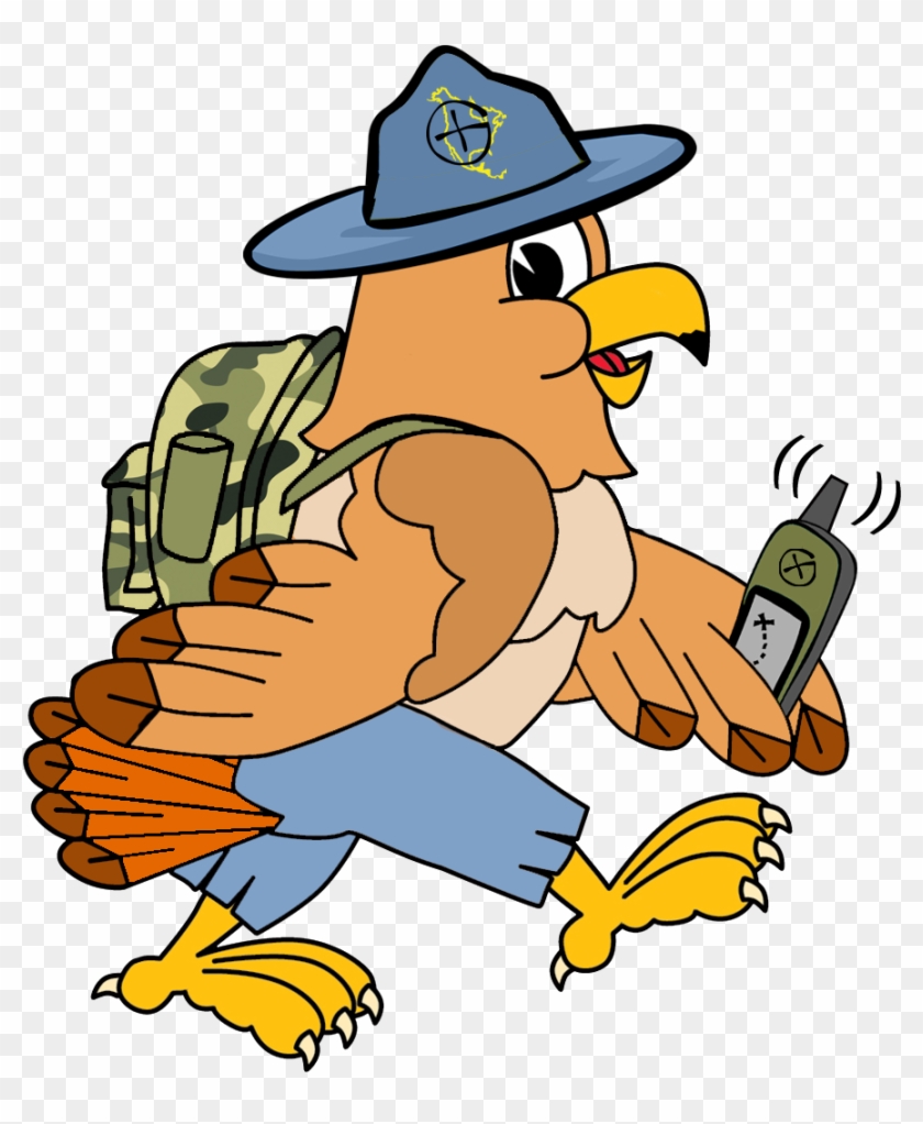 hawk mascots