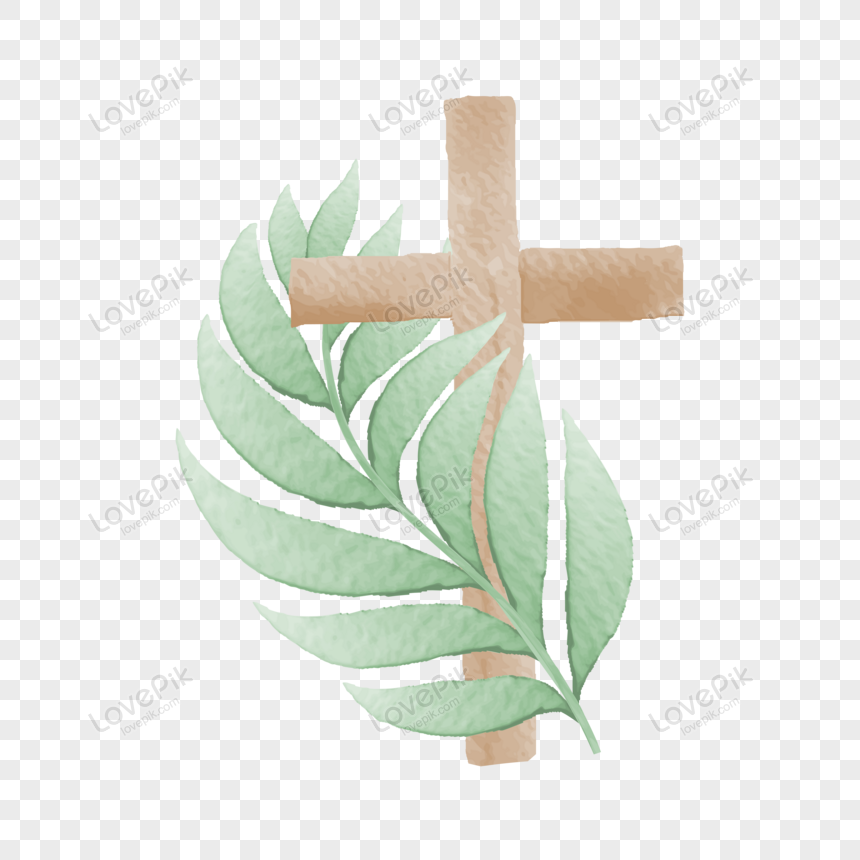 Watercolor-style wooden cross adorned with green olive branches on transparent background.