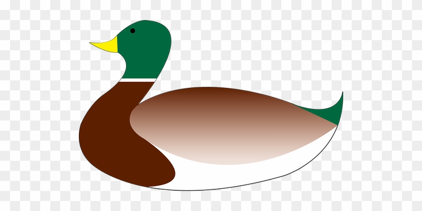 Stylized illustration of a male mallard duck with green head, yellow bill, brown chest, and white body on transparent background.