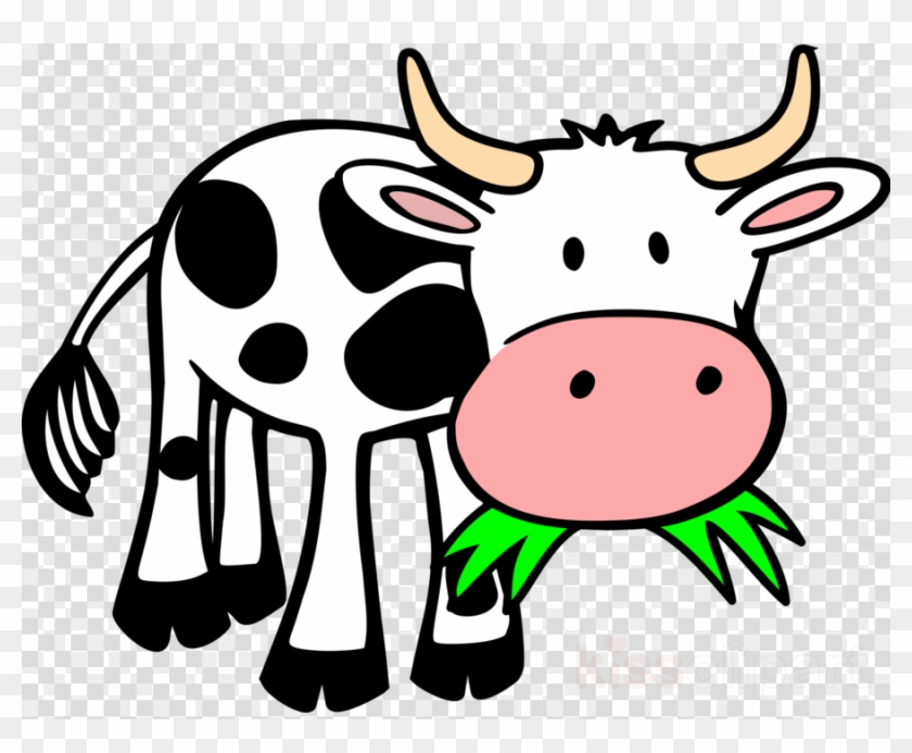 Cartoon cow with black spots, horns, pink nose, and green grass in mouth on transparent background.