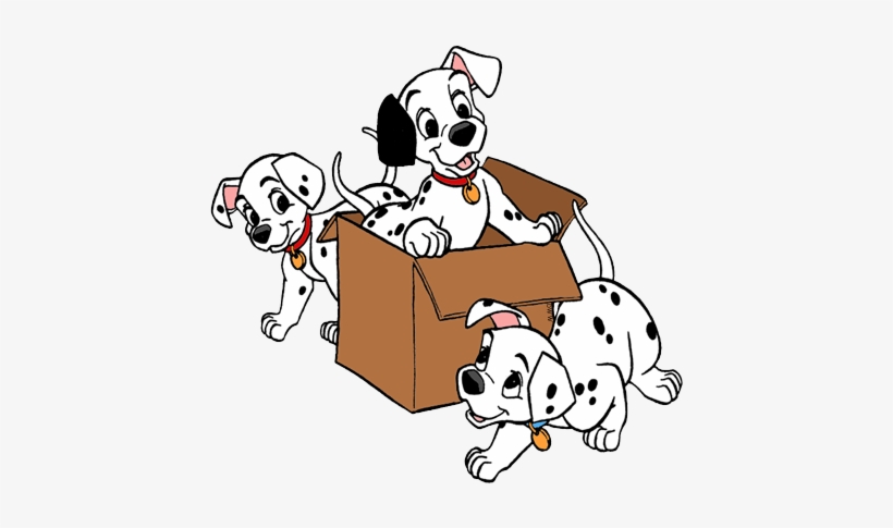 Three cheerful Dalmatian puppies playing around and inside a cardboard box.