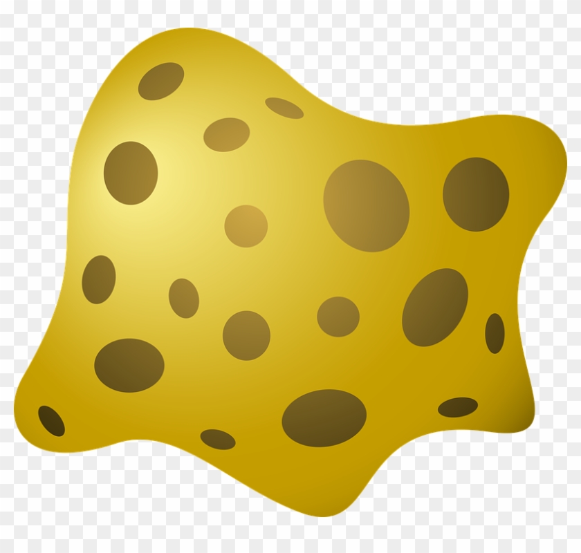 sponges - Clip Art Library