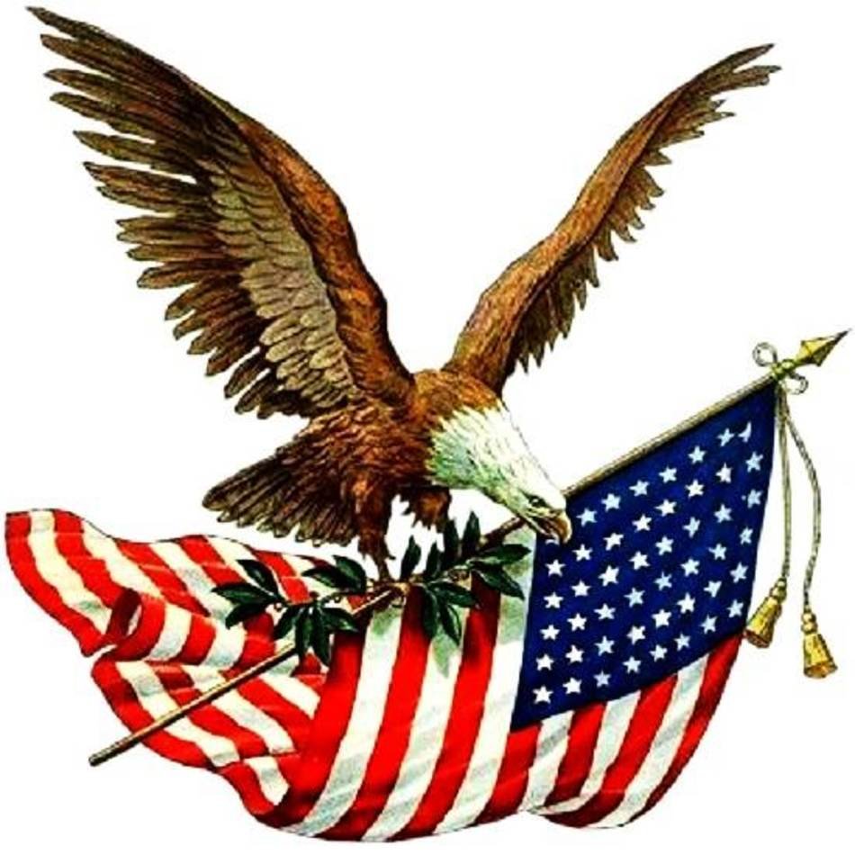 Patriotic Eagle with American Flag - Symbol of Freedom and Unity