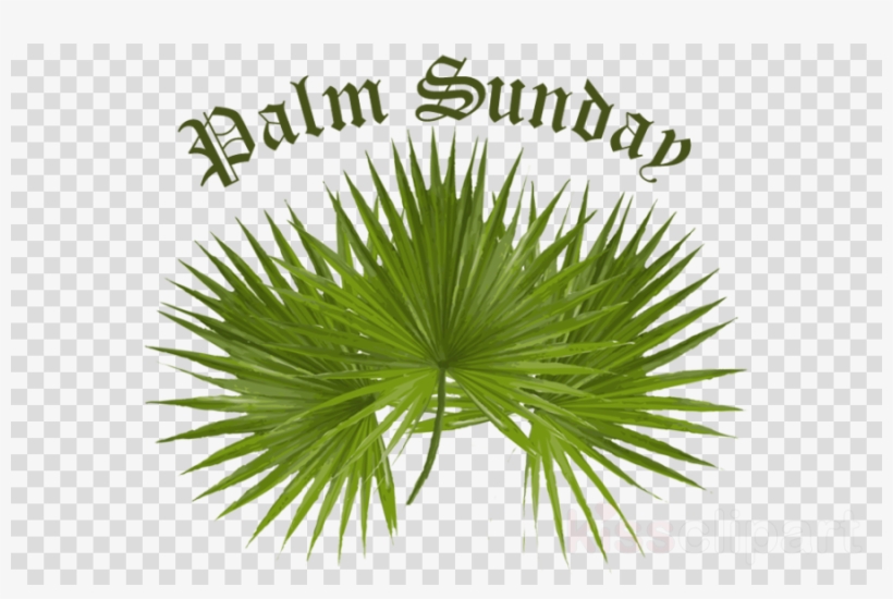 Palm sunday clip art images free clipart 2 - Clipart Library - Clip Art ...