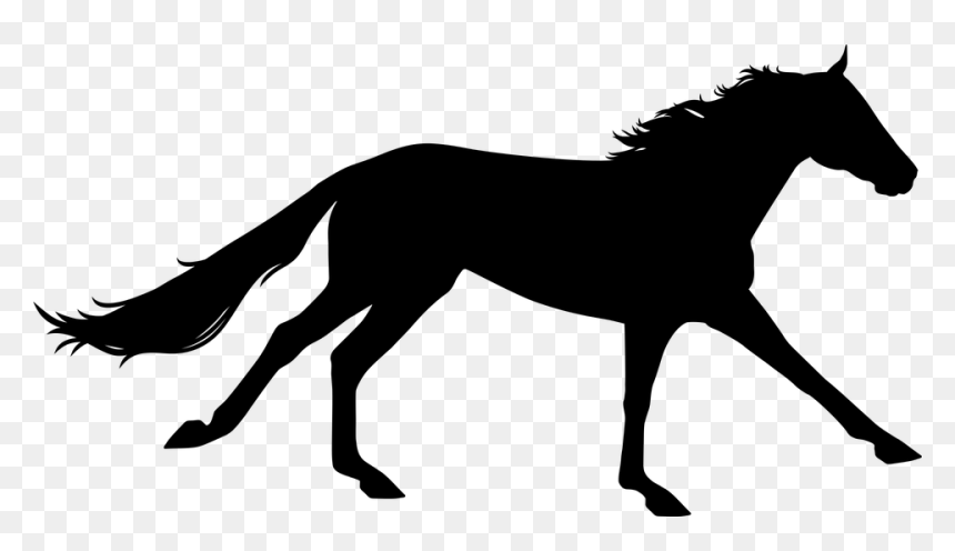 Black silhouette of a galloping horse on transparent background